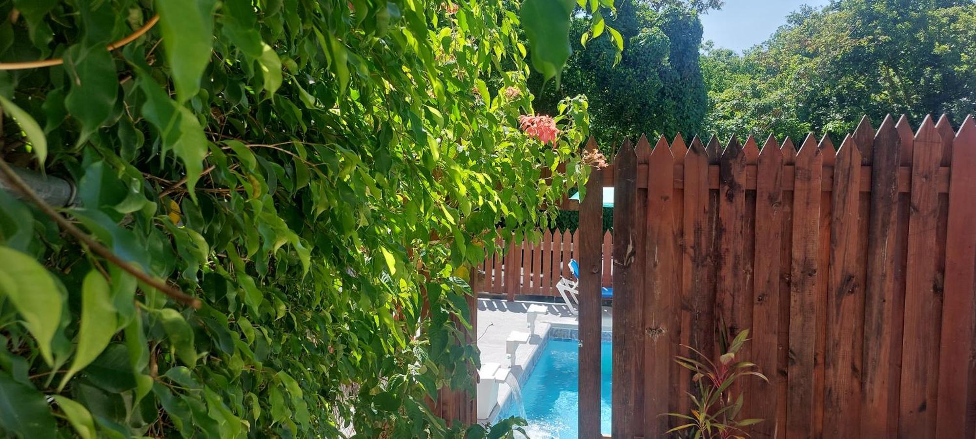 Apartment Joanna Rodney Bay Εξωτερικό φωτογραφία